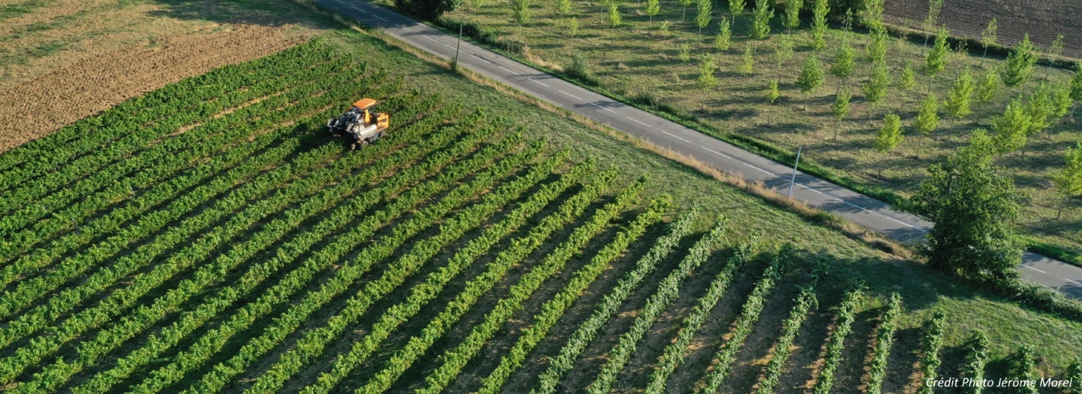 vignobles AOP Coteaux du Quercy